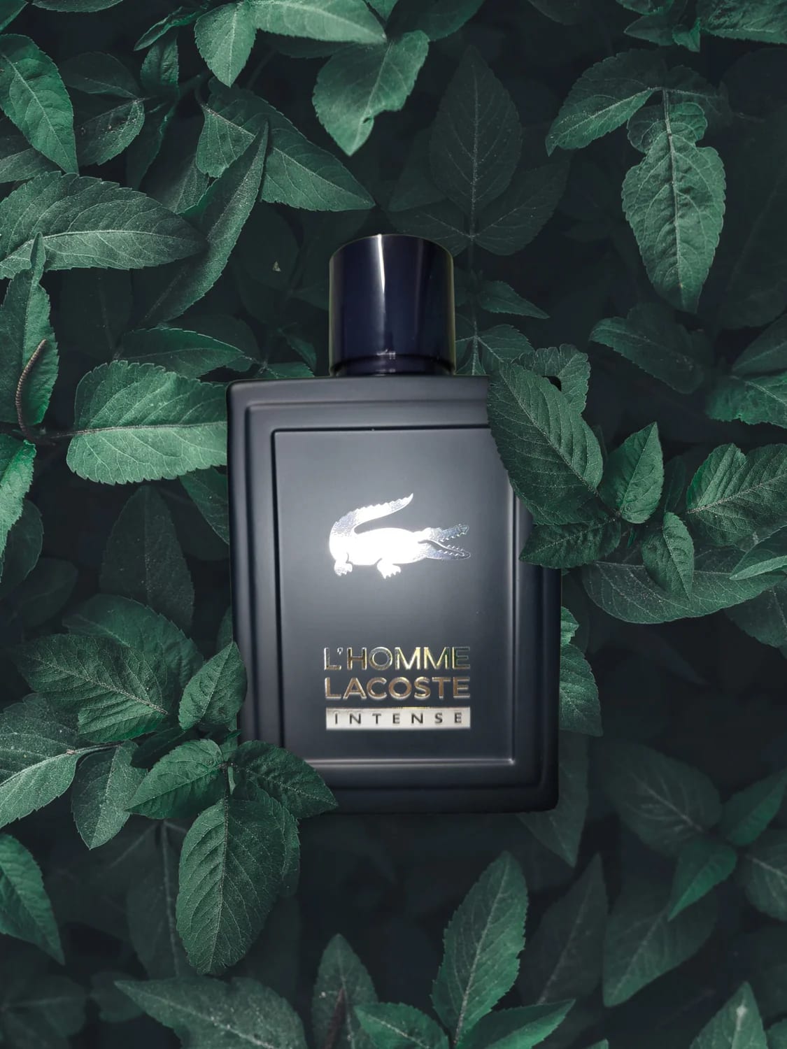 L’Homme Intense By Lacoste Eau De Toilette for Men